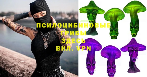Альфа ПВП Лабытнанги