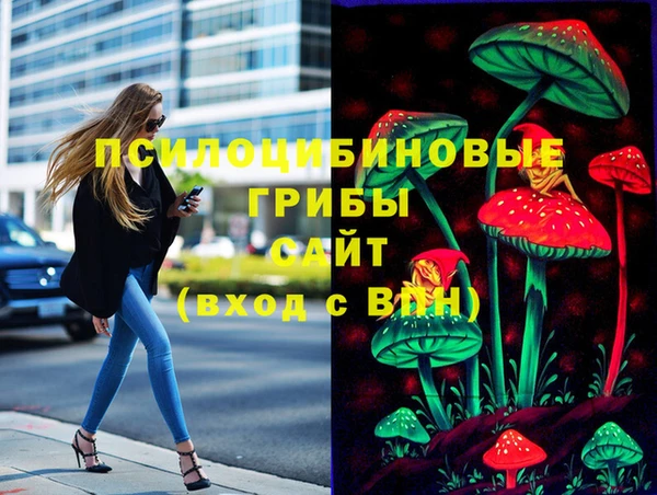 Альфа ПВП Лабытнанги