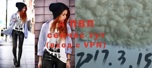 Альфа ПВП Лабытнанги