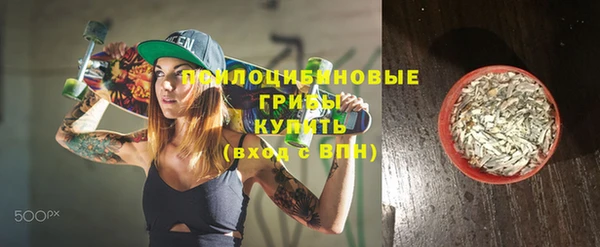 Альфа ПВП Лабытнанги