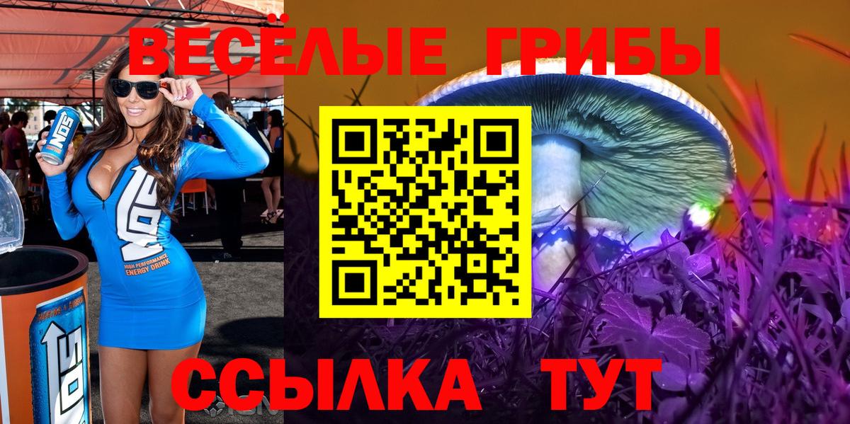 Псилоцибиновые грибы GOLDEN TEACHER  Вход с VPN  Сызрань  Псилоцибиновые грибы Psilocybine cubensis 